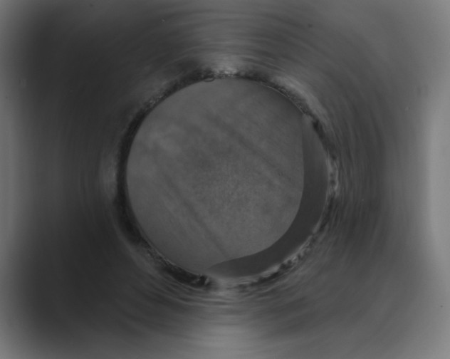 X0000088430496200706191237