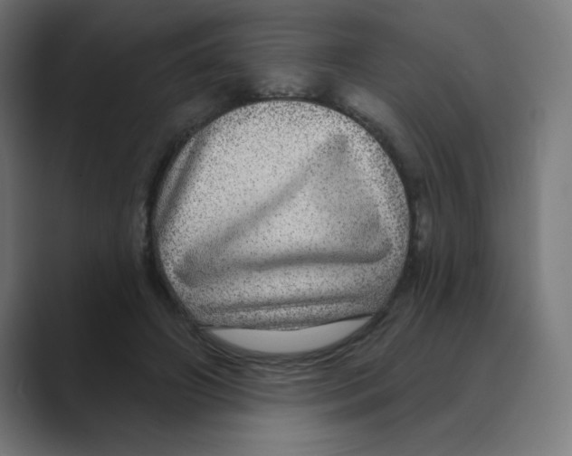X0000088430498200706191237