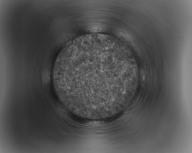 X0000088430499200706191237