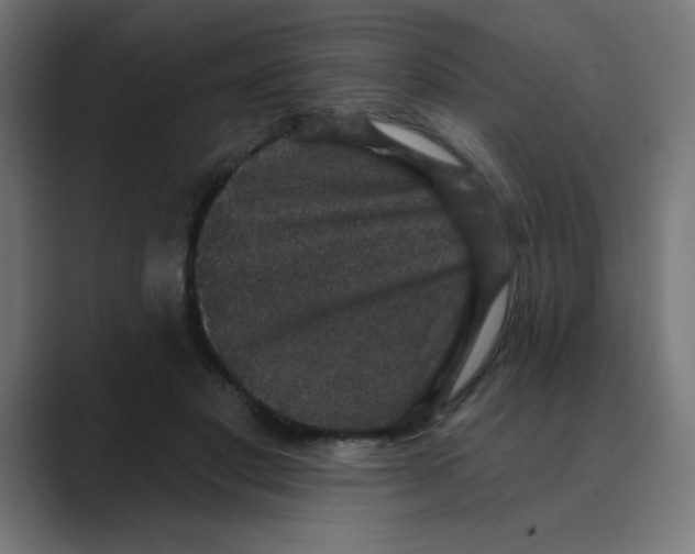 X0000088430501200706191237