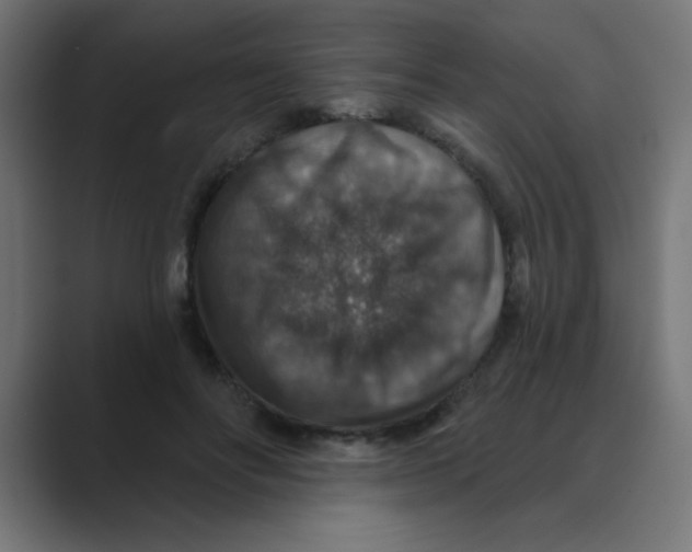 X0000088430502200706191237