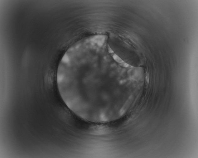 X0000088430503200706191236