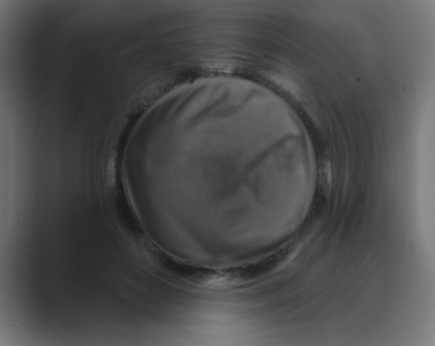 X0000088430504200706191236
