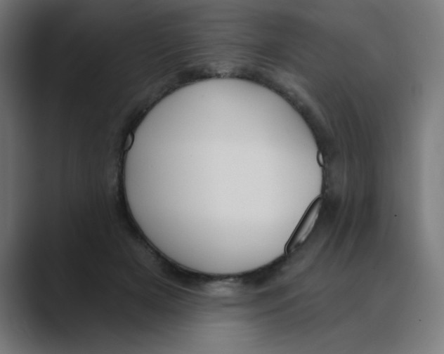 X0000088430505200706191236