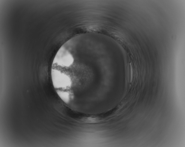 X0000088430506200706191236