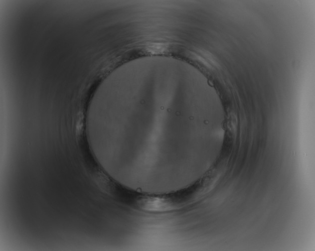 X0000088430507200706191236