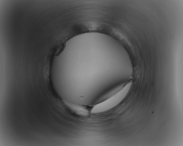 X0000088430509200706191236