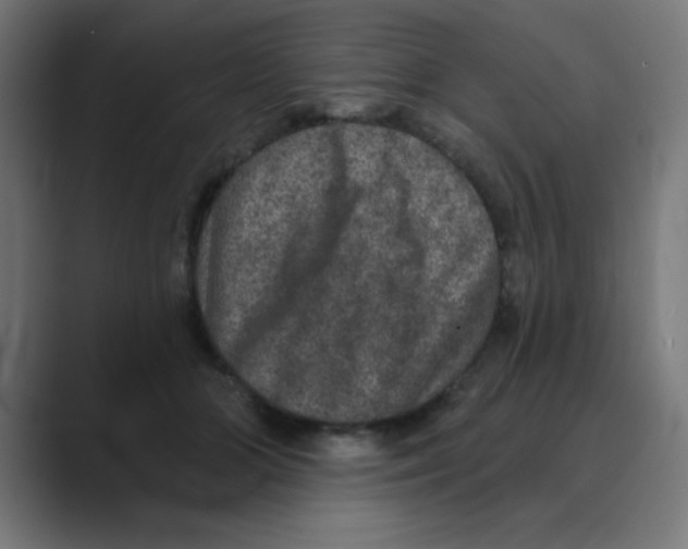 X0000088430510200706191236