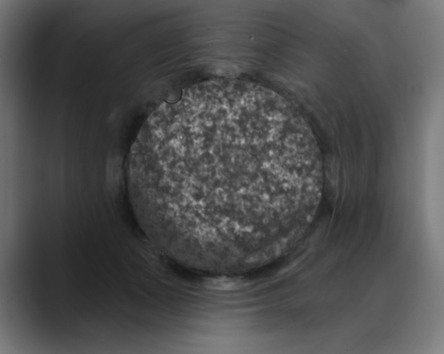 X0000088430511200706191236