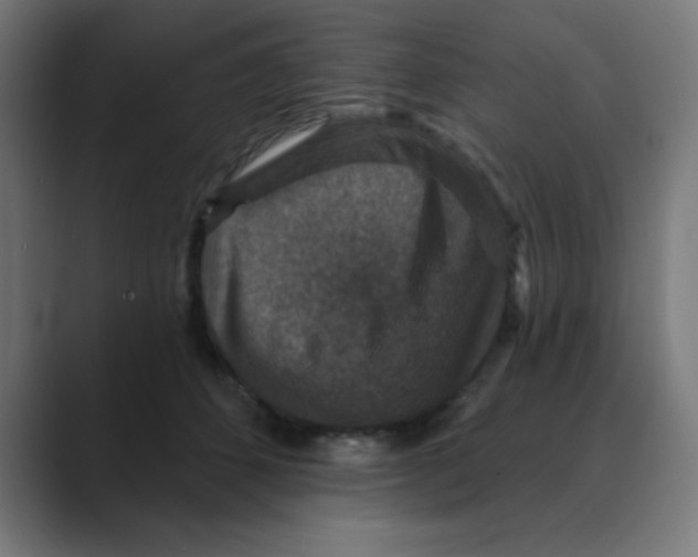 X0000088430512200706191236
