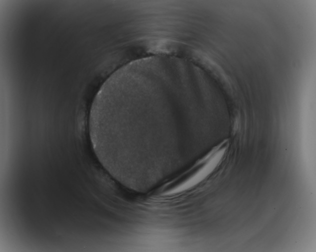 X0000088430513200706191236