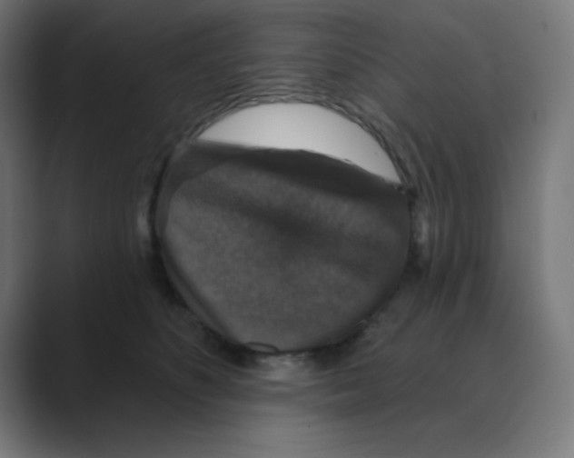 X0000088430516200706191236