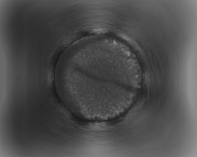X0000088430517200706191236