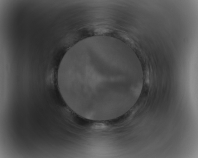 X0000088430519200706191236