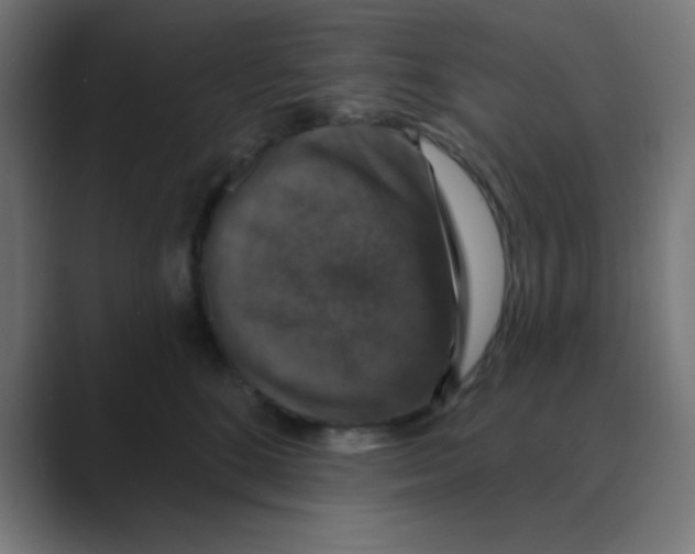 X0000088430520200706191236