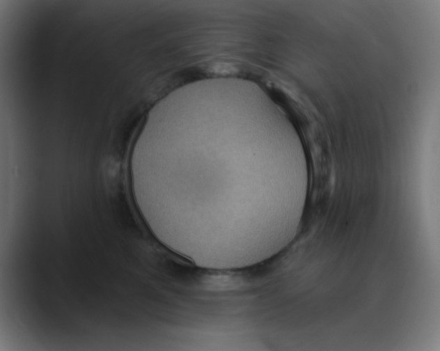 X0000088430521200706191236