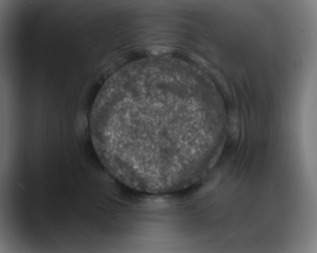 X0000088430523200706191236