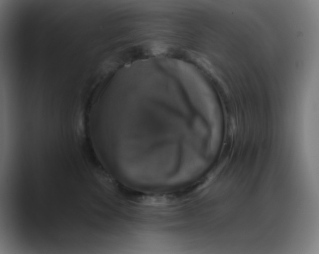 X0000088430524200706191236