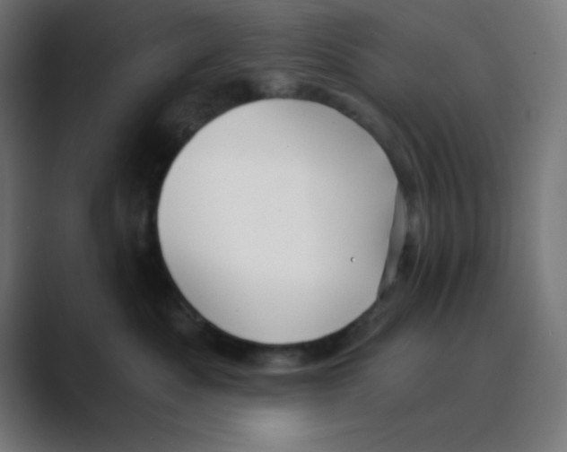 X0000088430525200706191236