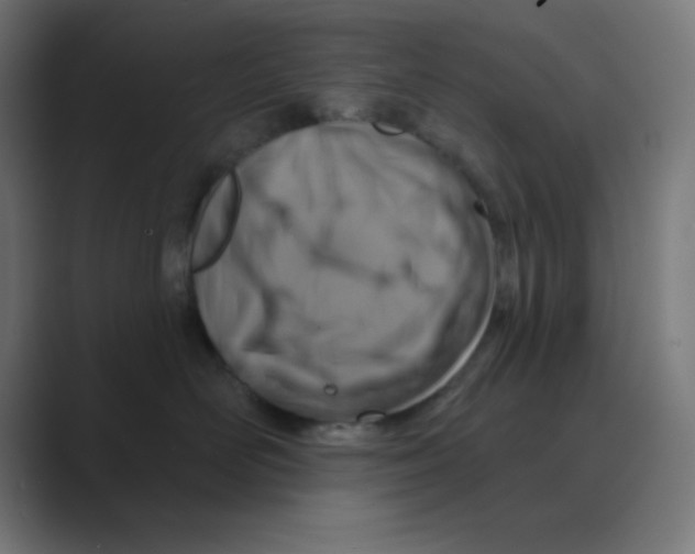 X0000088430526200706191236