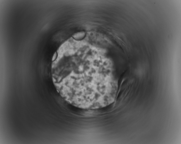 X0000088430527200706191236