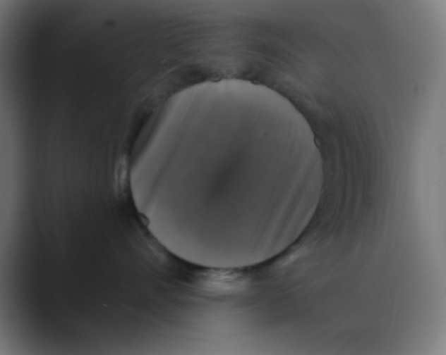 X0000088430528200706191236