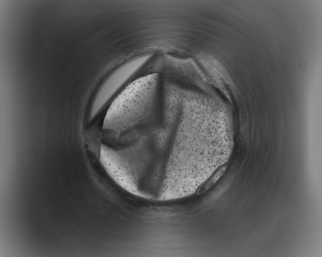 X0000088430530200706191236