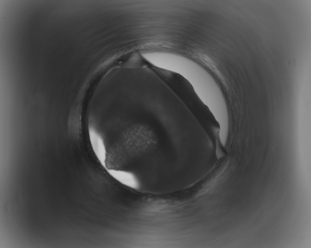 X0000088430531200706191236
