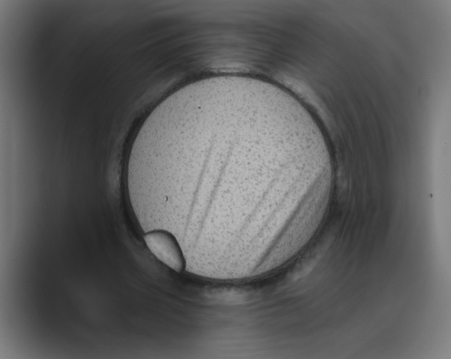 X0000088430533200706191236