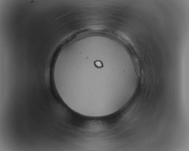 X0000088430535200706191236