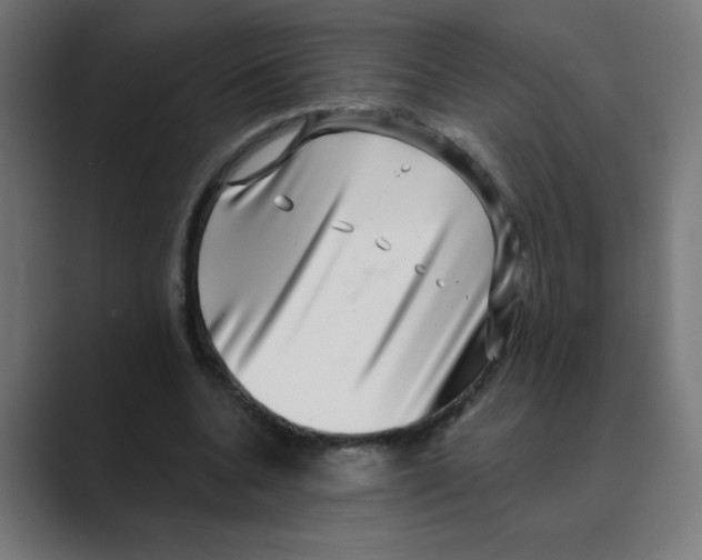 X0000088430536200706191236