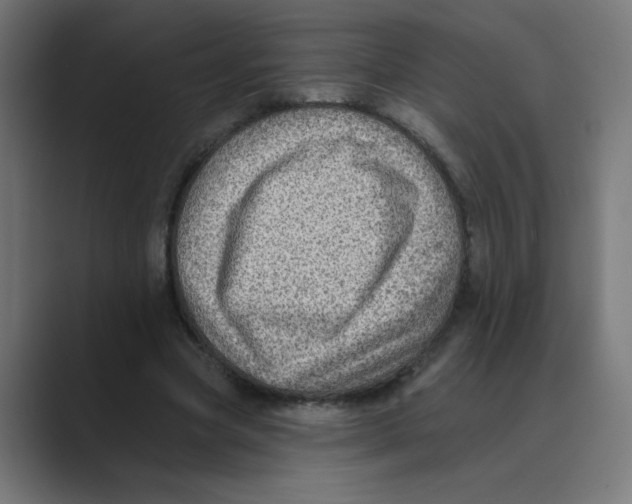 X0000088430537200706191236