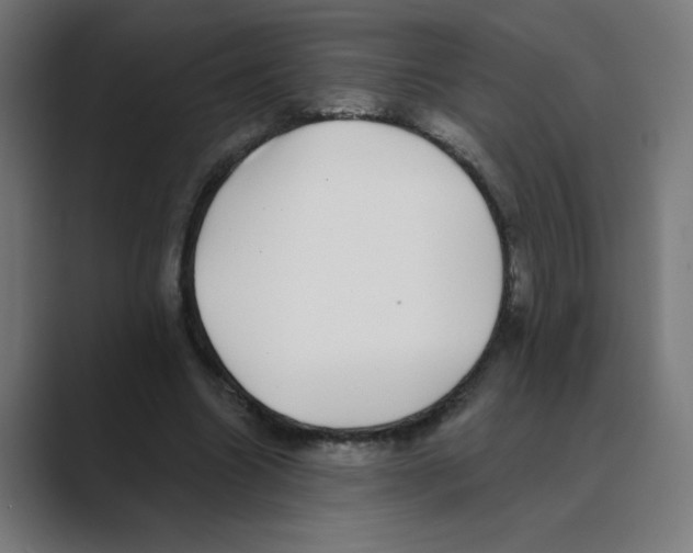 X0000088430538200706191236