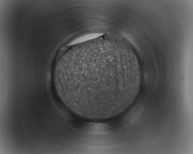X0000088430539200706191236