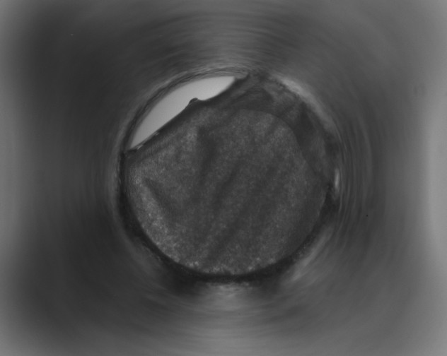 X0000088430540200706191236
