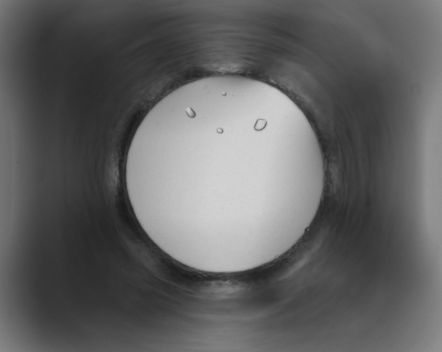 X0000088430541200706191236
