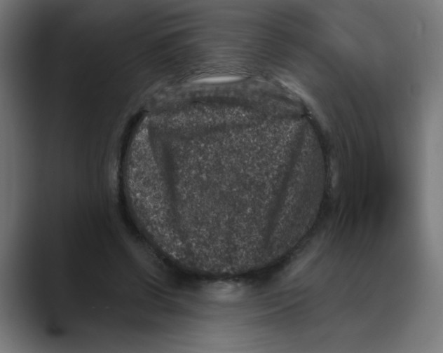 X0000088430542200706191236