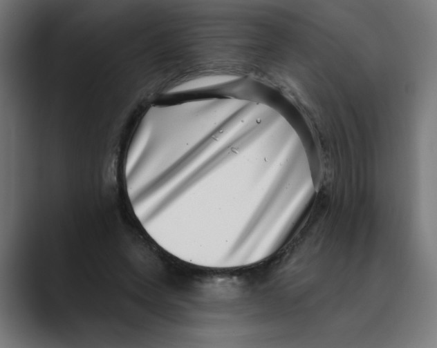 X0000088430543200706191236