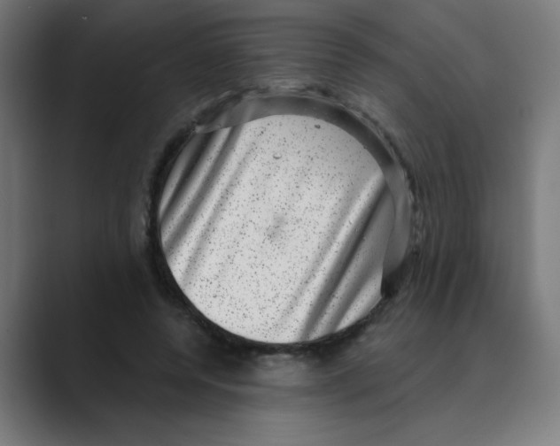 X0000088430544200706191236
