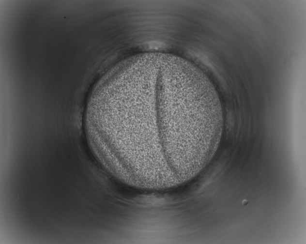 X0000088430545200706191236
