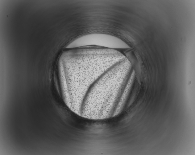 X0000088430546200706191236