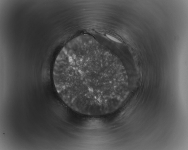 X0000088430547200706191236