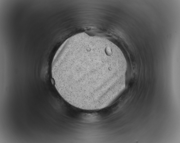 X0000088430548200706191236