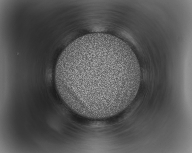 X0000088430549200706191236