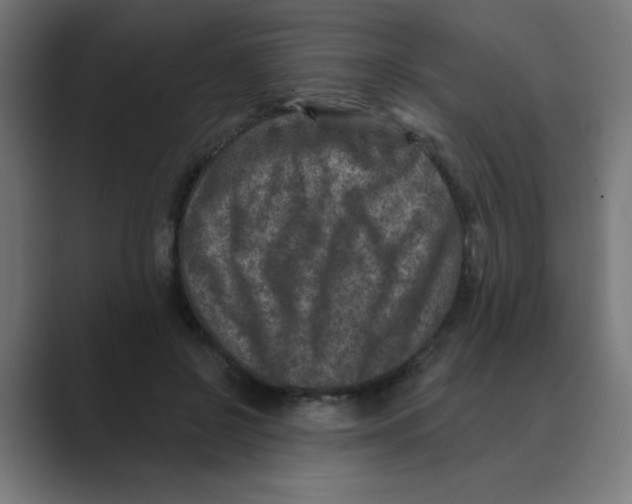 X0000088430550200706191236