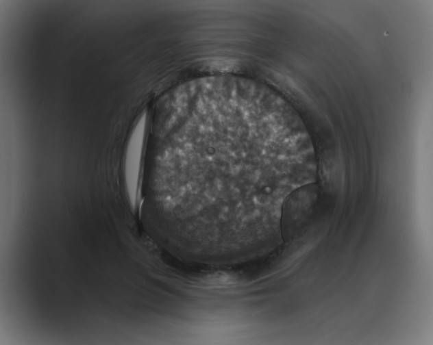X0000088430551200706191236