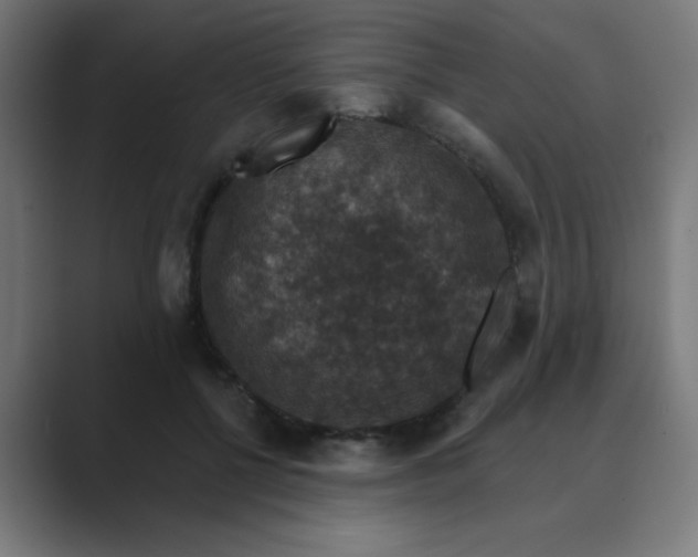 X0000088430552200706191236