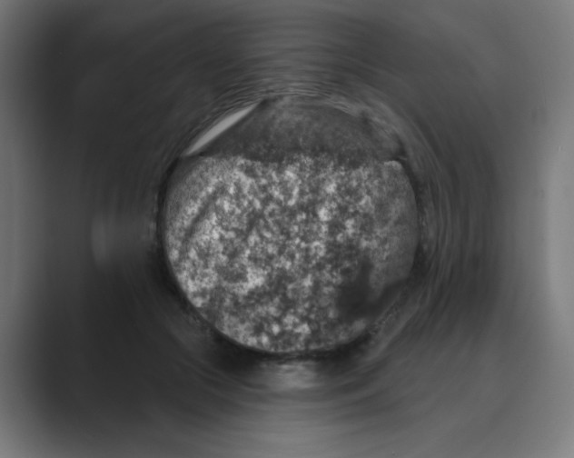 X0000088430553200706191236