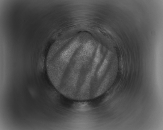 X0000088430554200706191236
