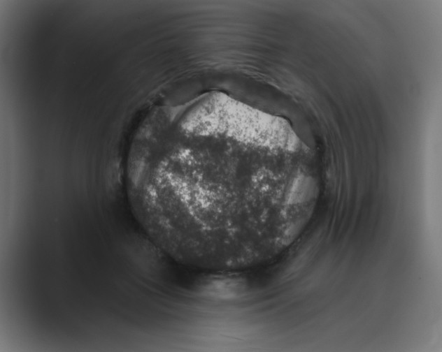 X0000088430555200706191236